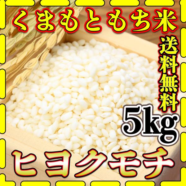 お米 5kg もち白米 送料無料 熊本県産 ヒヨクモチ あすつく 令和5年産 5kg1個 くまもとの...