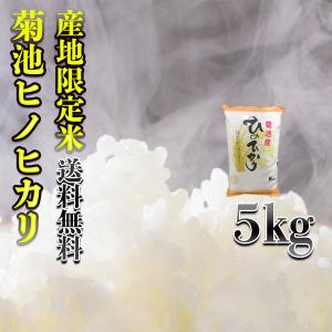 お米 米 5kg 白米 送料無料 熊本県 菊池産 ひのひかり あすつく 令和5年産 ヒノヒカリ 5kg1個 産地限定米 くまもとのお米 富田商店 とみた商店｜tomitasyoten