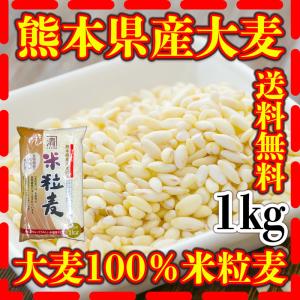大麦 1kg 国産 九州 熊本 米粒麦 ツインミール 食物繊維 健康 富田商店 とみた商店