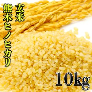 ヒノヒカリ 米 10kg 福岡産 棚田米 JAにじ 浮羽の棚田 お米 10キロ 令