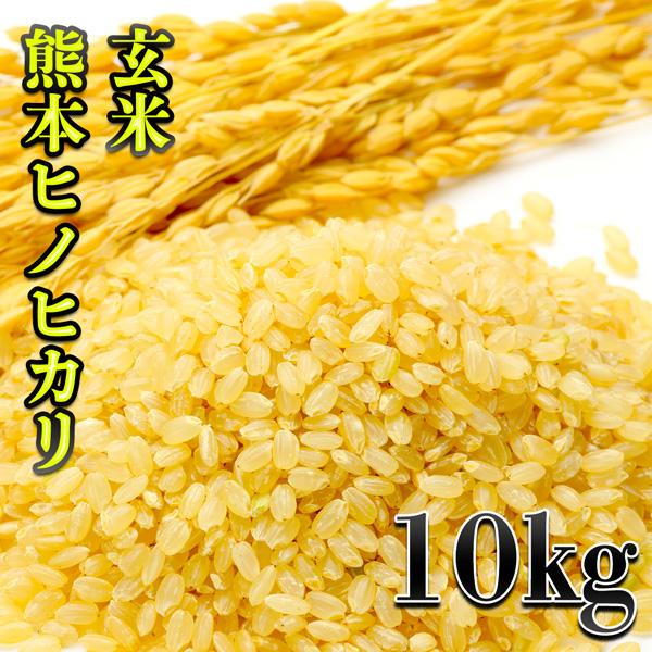 お米 米 10kg 玄米 熊本県産 ひのひかり 令和5年産 ヒノヒカリ あすつく 5kg2個 くまも...