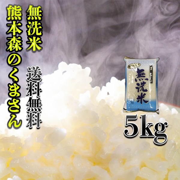 お米 5kg 白米 送料無料 無洗米 熊本県産 森のくまさん 令和5年産 5kg1個 くまもとのお米...