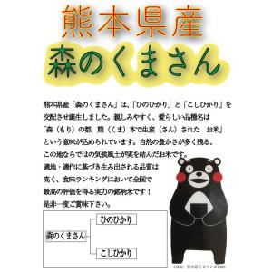 お米 米 10kg 白米 送料無料 最短 無洗...の詳細画像2