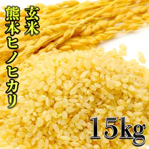 お米 米 15kg 玄米 熊本県産 ひのひかり 令和5年産 ヒノヒカリ 5kg3個 あすつく くまもとのお米 富田商店 とみた商店｜tomitasyoten