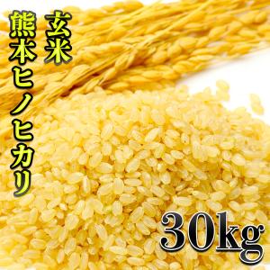 ヒノヒカリ 【数量限定】【令和7年産】ヒノヒカリ玄米30kg 九州