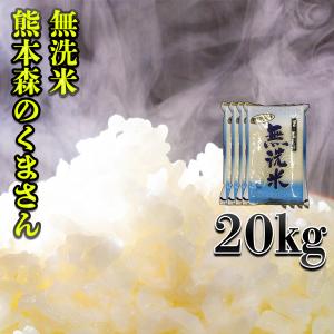 森のくまさん お米 米 10kg 白米 送料別 最短 熊本県産 新米 令和7年産