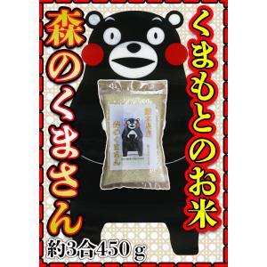 お米 米 450g 白米 送料無料 熊本県産 森のくまさん お試し米 約3合 令和5年産 くまモン ...