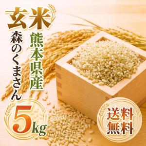 森のくまさん お米 米 30kg 玄米 送料別 最短 熊本県産 令和7年産 5kg6