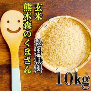お米 米 10kg 玄米 送料無料 熊本県産 森のくまさん 令和5年産 あすつく 5kg2個 くまもとのお米 富田商店 とみた商店