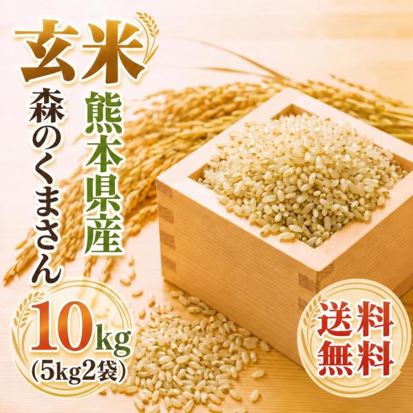 お米 米 10kg 玄米 送料無料 最短 熊本県産 森のくまさん 令和7年産 5kg2個 くまもとの...