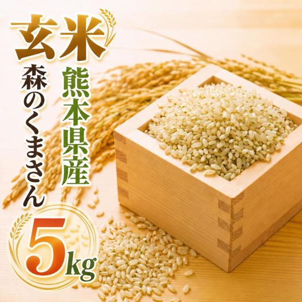 お米 米 5kg 玄米 送料別 最短 熊本県産 森のくまさん 令和7年産 5kg1個 くまもとのお米...