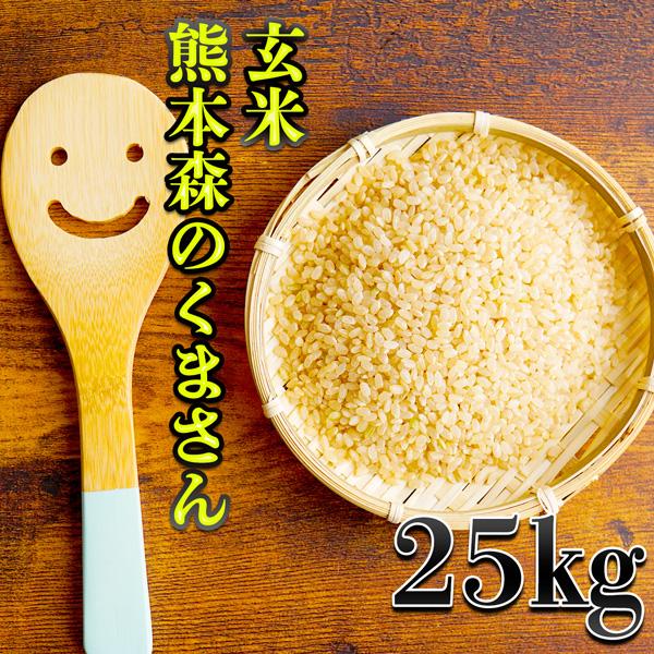 お米 米 25kg 玄米 熊本県産 森のくまさん 令和5年産 あすつく 5kg5個 くまもとのお米 ...