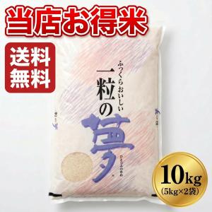 お米 米 10kg 白米 規格外のお米 送料無料 当店お得米 一粒の夢 通販商品 令和7年版 5kg2個 ノークレーム ノーリターン 白い米 割れた米 小粒 訳あり