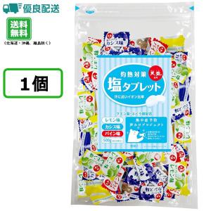 灼熱対策 塩タブレット 500g 約220粒入り 熱中症対策 塩分補給 短時間補給 賞味期限2022年07月11日