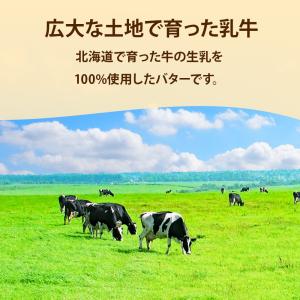 よつ葉バター 無塩 食塩不使用 450g 北海...の詳細画像1