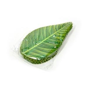 人工桜葉 / 200枚 富澤商店 公式