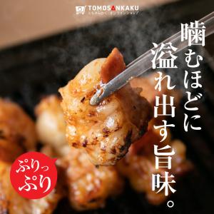 極上ホルモン 110g 味付き 秘伝のタレ漬け...の詳細画像1