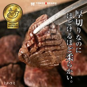 上ハラミ 110g 味付き スライス済み 焼肉...の詳細画像1