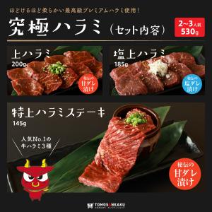 牛肉 はらみ 焼肉 究極ハラミ セット(2〜3...の詳細画像1