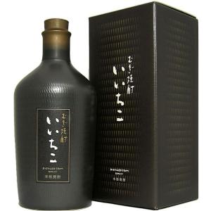 いいちこスペシャル ギフト プレゼント 麦焼酎 いいちこ 民陶 黒瓶 25