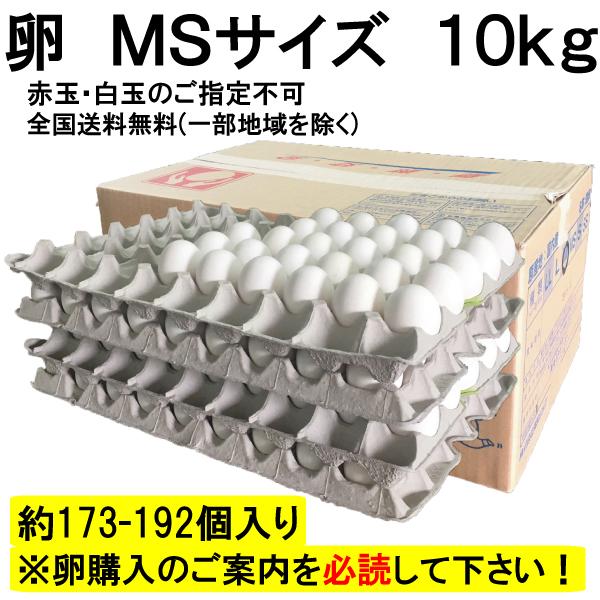 卵 MSサイズ 10kg 約173-192個 業務用 送料無料 夏季クール便