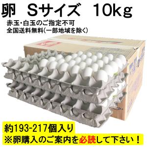 卵 MSサイズ 10kg 約173-192個 業務用 送料無料 夏季クール便 : お酒