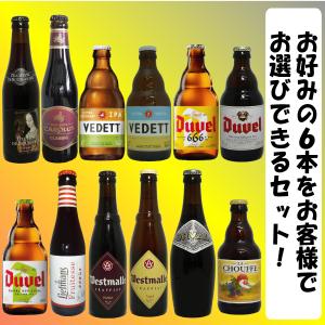 ビール ベルギービール選べる6本セット : お酒・お米・食品のともだ