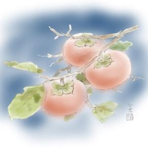 残暑見舞い 2026 ギフト 和歌山県かつらぎ...の詳細画像5