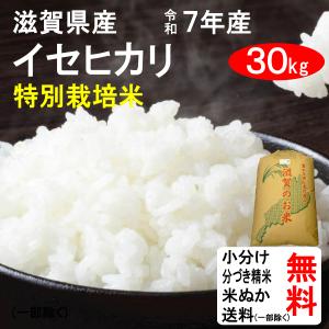コシヒカリ 米 30kg 令和7年 送料無料 滋賀県東近江市 特別栽培米 1等