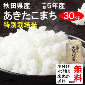 米 30kg 送料無料 秋田県大潟村 特別栽培米 あきたこまち 1等玄米 クーポンで500円引き｜tomoda