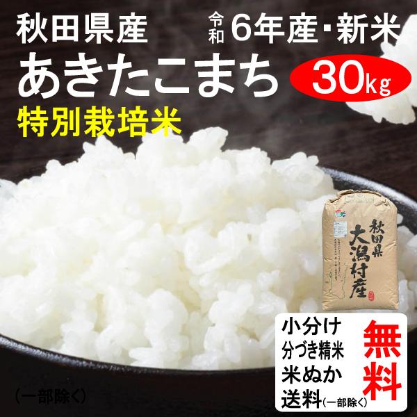 米 30kg 送料無料 秋田県大潟村 特別栽培米 あきたこまち 1等玄米 クーポンで500円引き