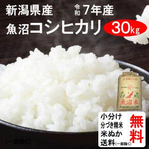 令和7年産 こしひかり コシヒカリ 爆買 玄米30kg 精米 茨城県産 白米