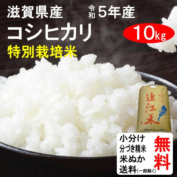 米 10kg 送料無料 滋賀県東近江市 特別栽培米 コシヒカリ 1等玄米 クーポンでさらにお得