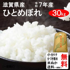 滋賀県　令和6年度産　コシヒカリ　30kg 滋賀県 令和6年度産 コシヒカリ30kg