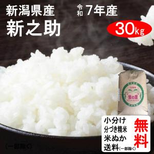 コシヒカリ 玄米 30kg 米 魚沼産 特A 一等 令和7年（魚沼 生産農家 米