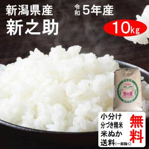 米 10kg 送料無料 新潟県 新之助 1等玄米 クーポンでさらにお得