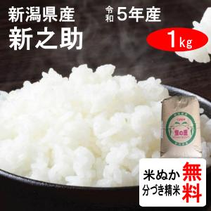 米 1kg 新潟県 新之助 1等玄米｜tomoda