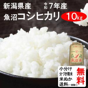 米 10kg 令和7年 送料無料 富山県 つきあかり 2等玄米 : お酒・お米