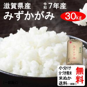 新米　兵庫播州　ジャスト30Kg　きぬむすめ　極1等米　上白米　精米済　色選別済 kinumusume30.jpg