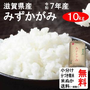 コシヒカリ 米 10kg 令和7年 送料無料 滋賀県東近江市 特別栽培米 1等