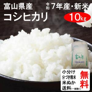 あきたこまち 秋田県産 10kg 10キロ 通販 あきたこまちの本場 秋田県の