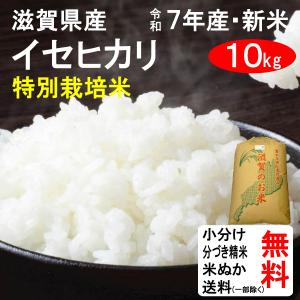 爆買 新米 10kg 令和7年 送料無料 富山県 つきあかり 2等玄米 : お酒
