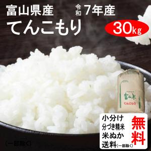 コシヒカリ 米 30kg 令和7年 送料無料 滋賀県東近江市 特別栽培米 1等