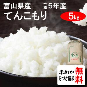 米 5kg 富山県 てんこもり 1等玄米｜tomoda