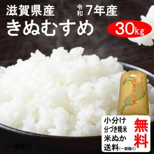 コシヒカリ 米 30kg 令和7年 送料無料 滋賀県東近江市 特別栽培米 1等
