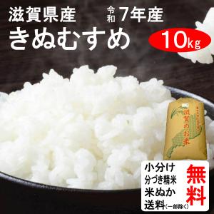 コシヒカリ 米 10kg 令和7年 送料無料 滋賀県東近江市 特別栽培米 1等