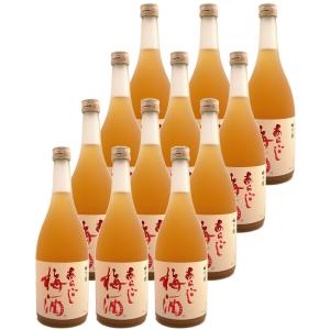 梅乃宿 あらごし梅酒 720ml 12本セット 送料無料 クーポンでさらにお得｜tomoda