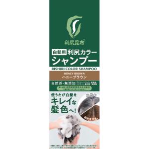 利尻白髪染シャンプー ダークブラウン 500ml Amazon | Sastty (サスティ) 【白髪用】大容量サイズ 利尻カラー