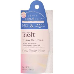 花王 melt クリーミーメルトフォーム（1g×1包入）×1個の商品画像