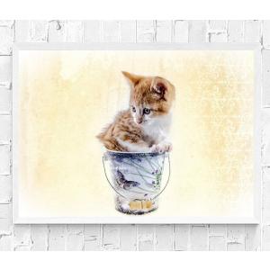 インテリアポスター 猫 ネコ 可愛いニャンコ A2サイズ ip14